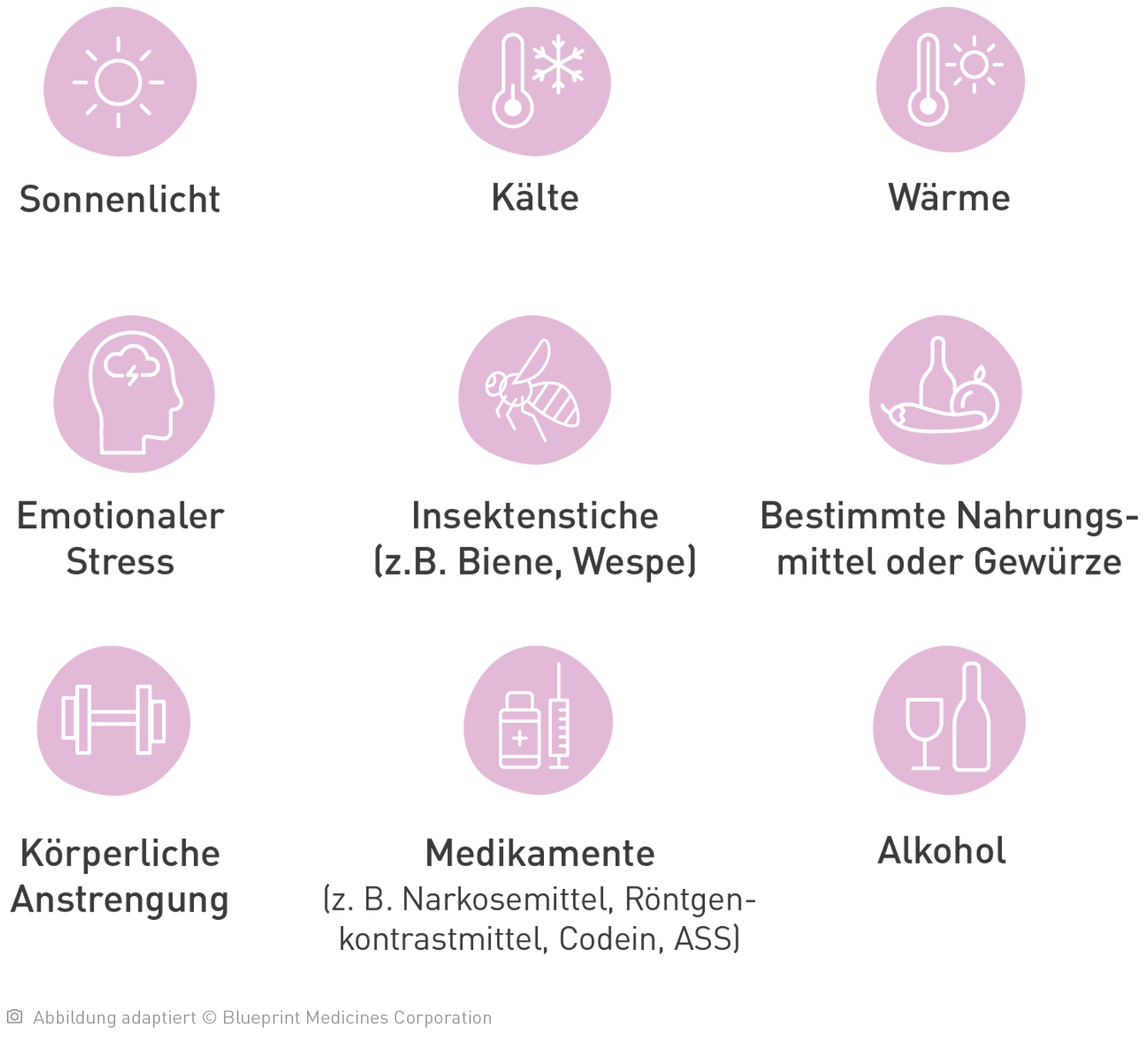 Eine Aufzählung von unterschiedlichen Triggern für Systemische Mastozytose auf die an Systemischer Mastozytose erkrankte Personen reagieren können.