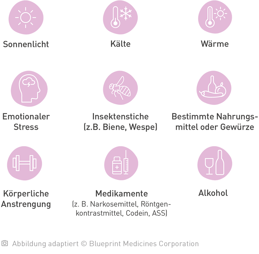 Eine Aufzählung von unterschiedlichen Triggern für Systemische Mastozytose auf die an Systemischer Mastozytose erkrankte Personen reagieren können.